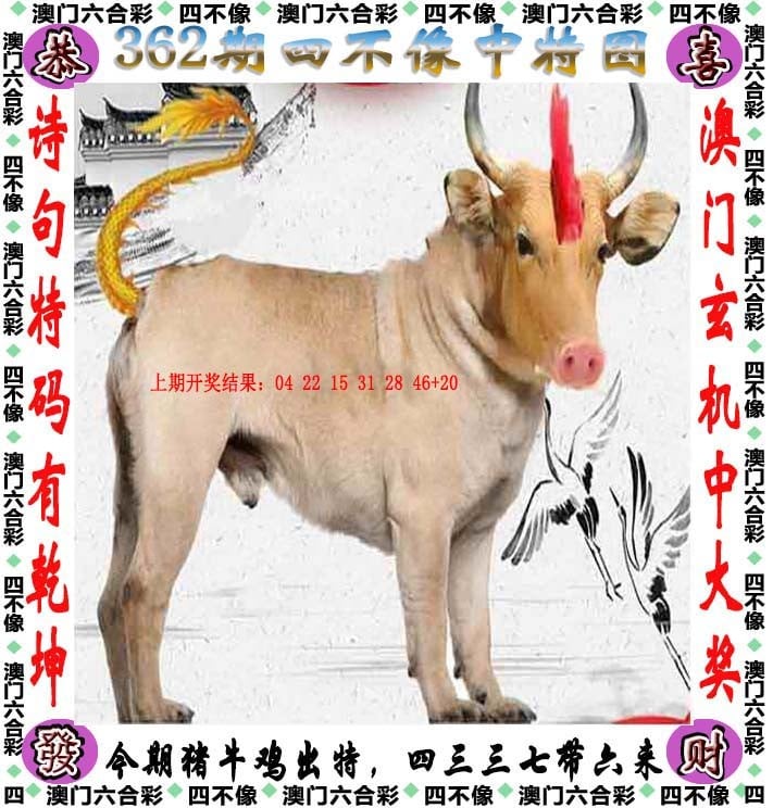 澳彩图库资料图片大全