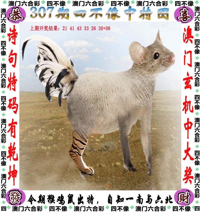 澳彩网站准确资料查询大全2024年