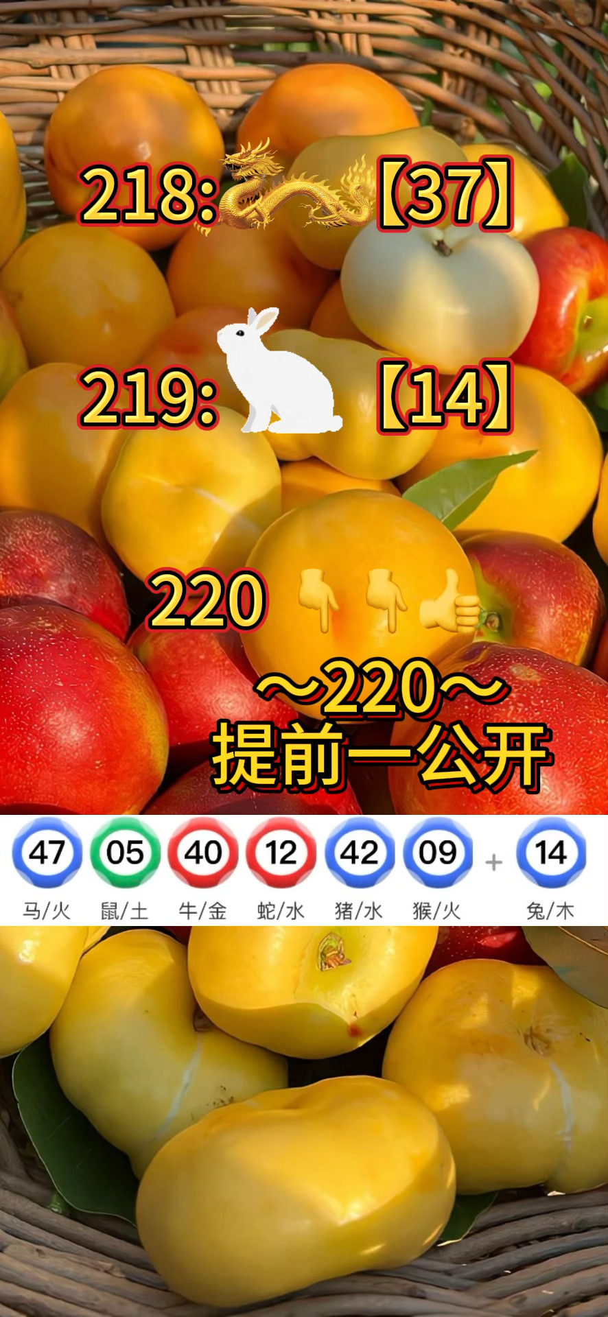 澳门资料库-澳门资资料库,澳