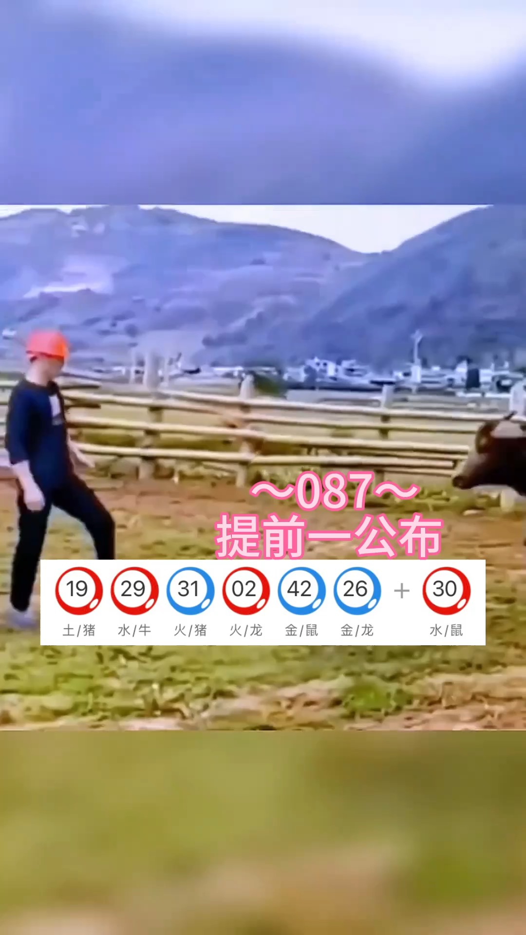 科普展现:新澳内幕消息直播（澳新足球新闻）