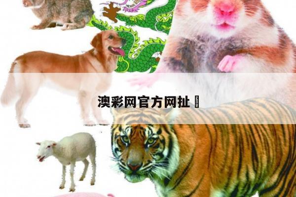 澳彩网官方网扯	