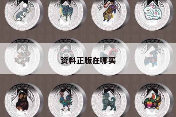 资料正版在哪买