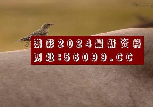 澳彩高手论坛免费精选资料,澳彩高手论坛免费精选资料2018